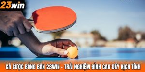 Cá Cược Bóng Bàn 23WIN – Trải Nghiệm Đỉnh Cao Đầy Kịch Tính