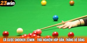 Cá Cược Snooker 23WIN – Trải Nghiệm Hấp Dẫn, Thắng Dễ Dàng