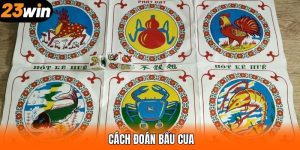 Cách Đoán Bầu Cua - Phương Pháp Chơi Hiệu Quả Tại 23WIN