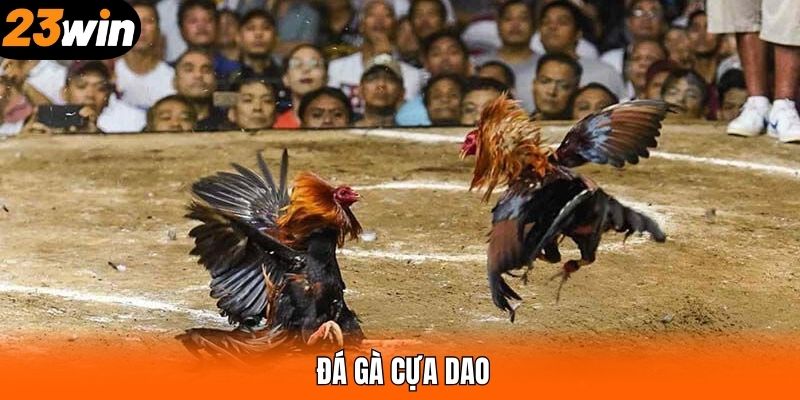 Đá Gà Cựa Dao - Thưởng Thức Các Trận Đấu Hấp Dẫn Tại 23WIN