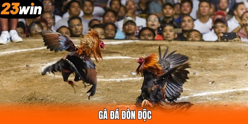 Đá Gà Đòn Độc - Khám Phá Hình Thức Chơi Thú Vị Tại 23WIN