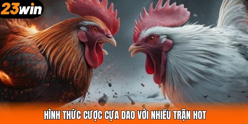 Hình thức cược cựa dao với nhiều trận hot