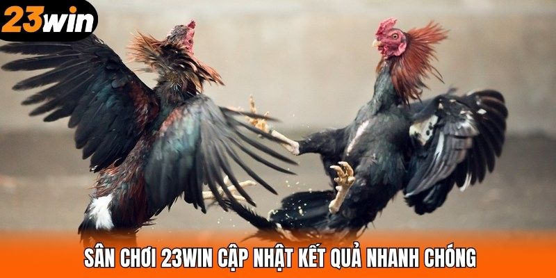 Sân chơi 23WIN cập nhật kết quả nhanh chóng