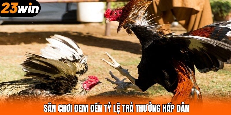 Sân chơi đem đến tỷ lệ trả thưởng hấp dẫn